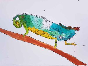mal-atelier-chromik-tusche-tiere-17